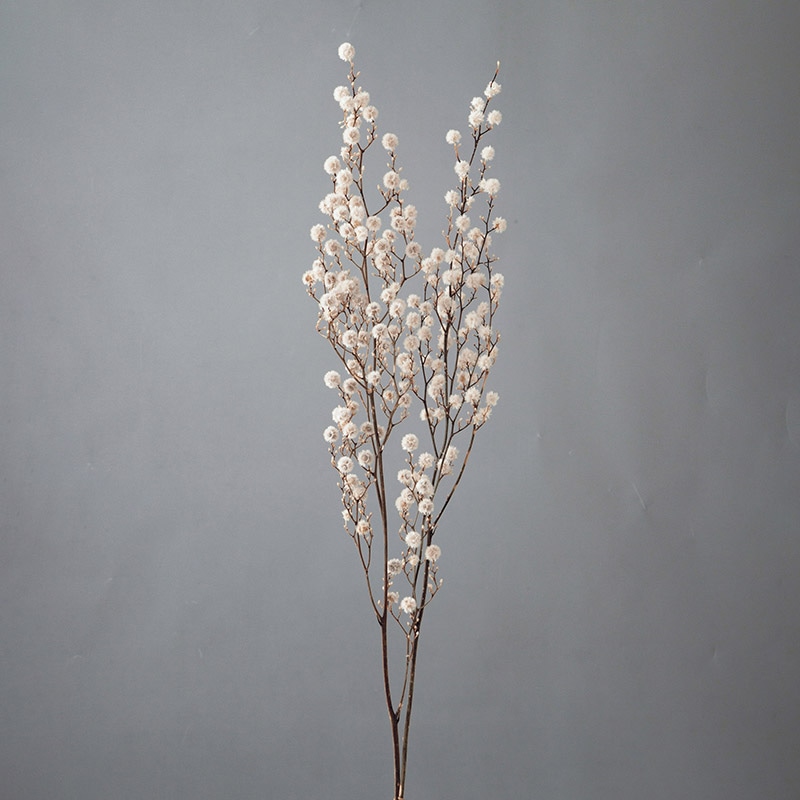 大地農園 カラードライフラワー スターリンジャー 40400-011 オフホワイト 1束(ご注文単位1束)【直送品】