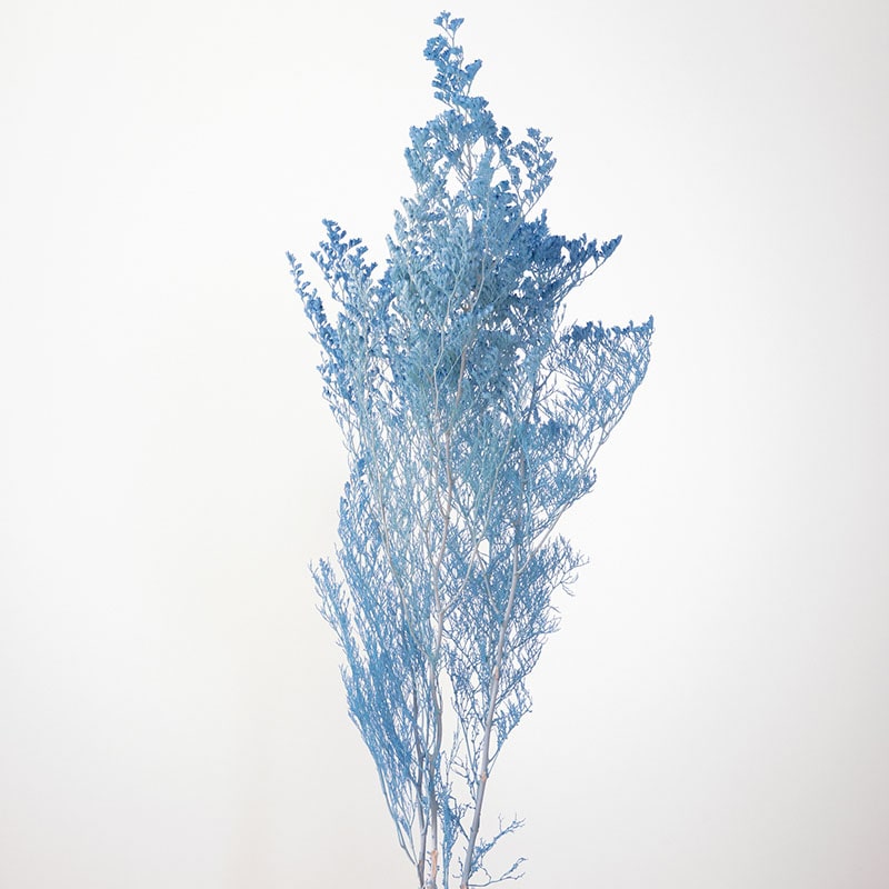 大地農園 プリザーブドフラワー カスピア 03710-691　ウォーターブルー 1束（ご注文単位1束）【直送品】
