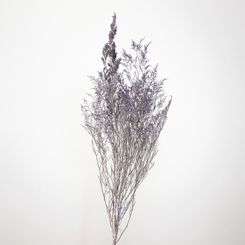 大地農園 プリザーブドフラワー カスピア 03710-401　ナチュラルパープル 1束（ご注文単位1束）【直送品】