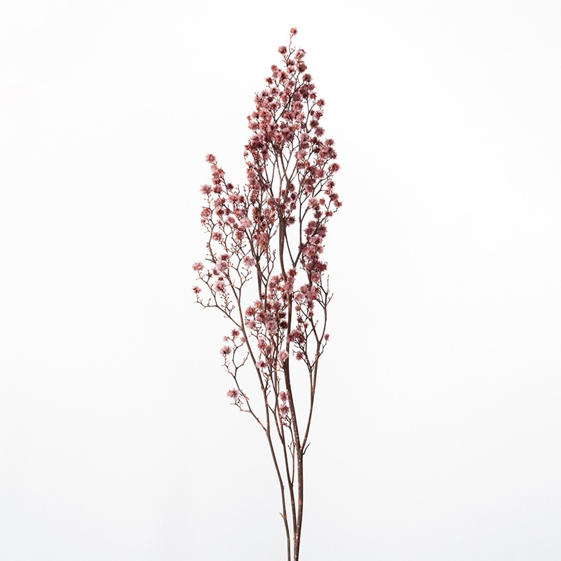 大地農園 カラードライフラワー スターリンジャー 40400-191 クラウドピンク 1束(ご注文単位1束)【直送品】