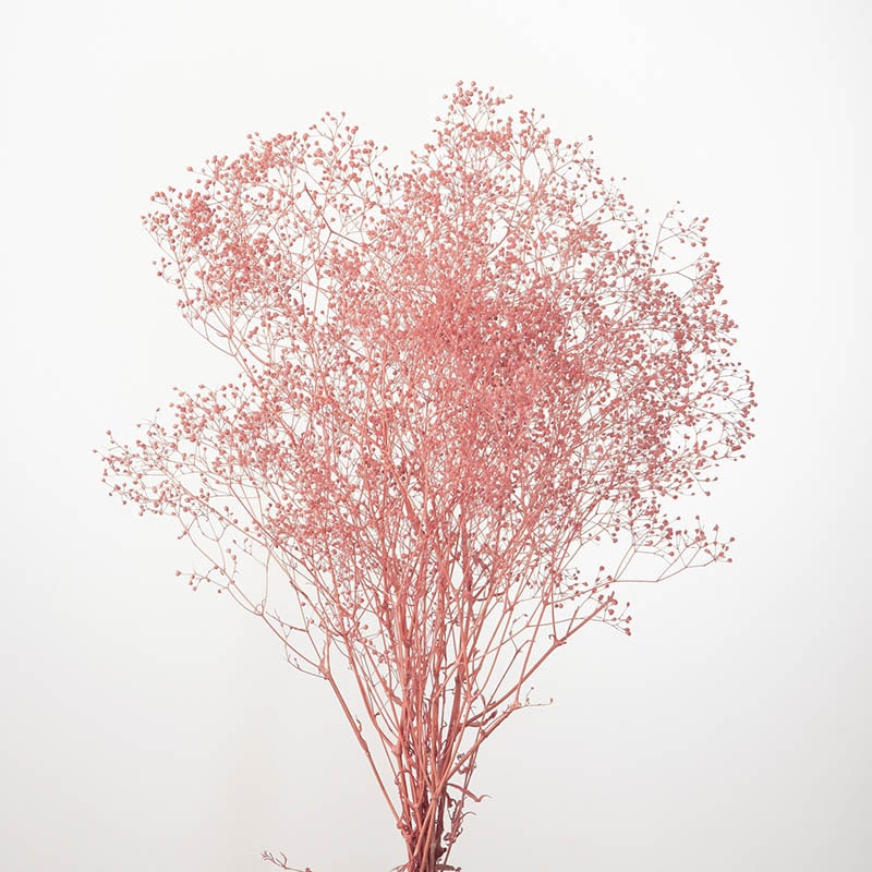 クラウドピンク