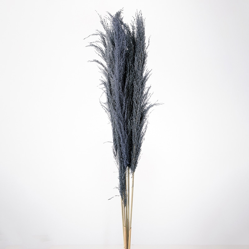 大地農園 ナチュラルドライ フェザーパンパス 52250-640 スモーキーブルー 1束(ご注文単位1束)【直送品】