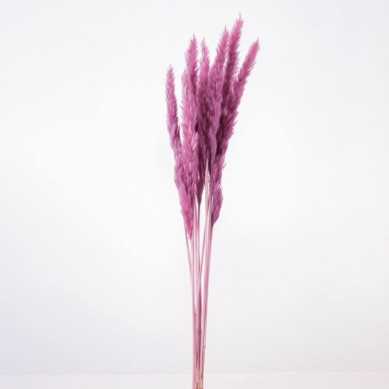 大地農園 ナチュラルドライ テールリード 51340-162 エスプリピンク 1束(ご注文単位1束)【直送品】