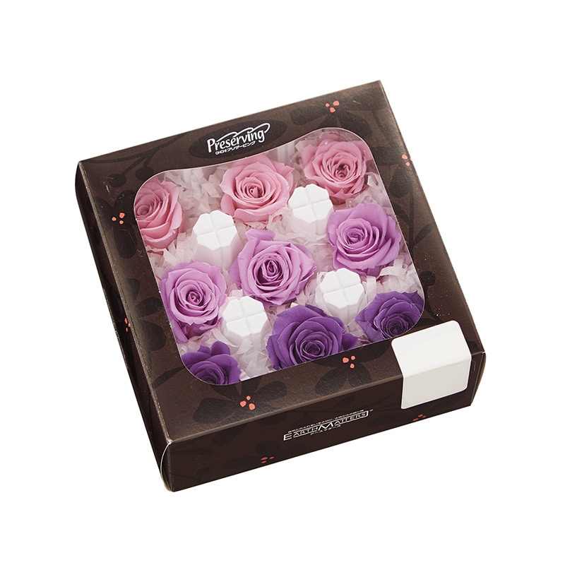 ピンク／パープル