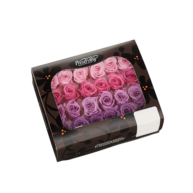 ピンク／パープル