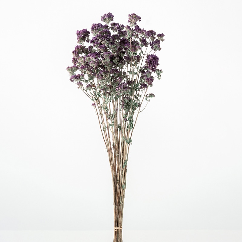 大地農園 ナチュラルドライフラワー オレガノ 10250-000 1束（ご注文単位1束）【直送品】