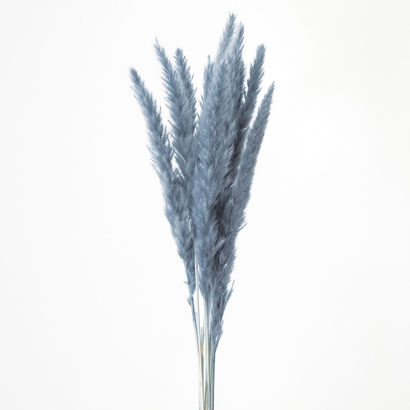大地農園 ナチュラルドライ テールリード 51340-831 グレーブルー 1束(ご注文単位1束)【直送品】