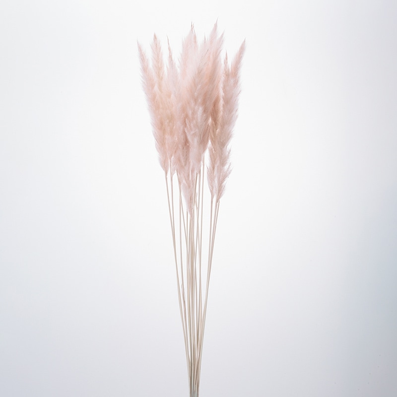 大地農園 ナチュラルドライ テールリード ミニ 51345-081 ピンクベージュ 1束(ご注文単位1束)【直送品】
