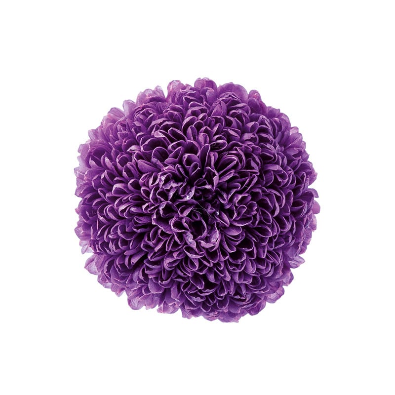 大地農園 プリザーブドフラワー ポンポン菊　ミディ 02646-401　むらさき 1箱（ご注文単位1箱）【直送品】