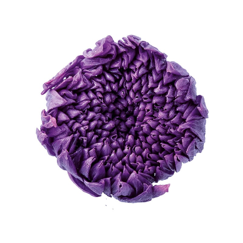 大地農園 プリザーブドフラワー 輪菊　小 04803-401　むらさき 1箱（ご注文単位1箱）【直送品】