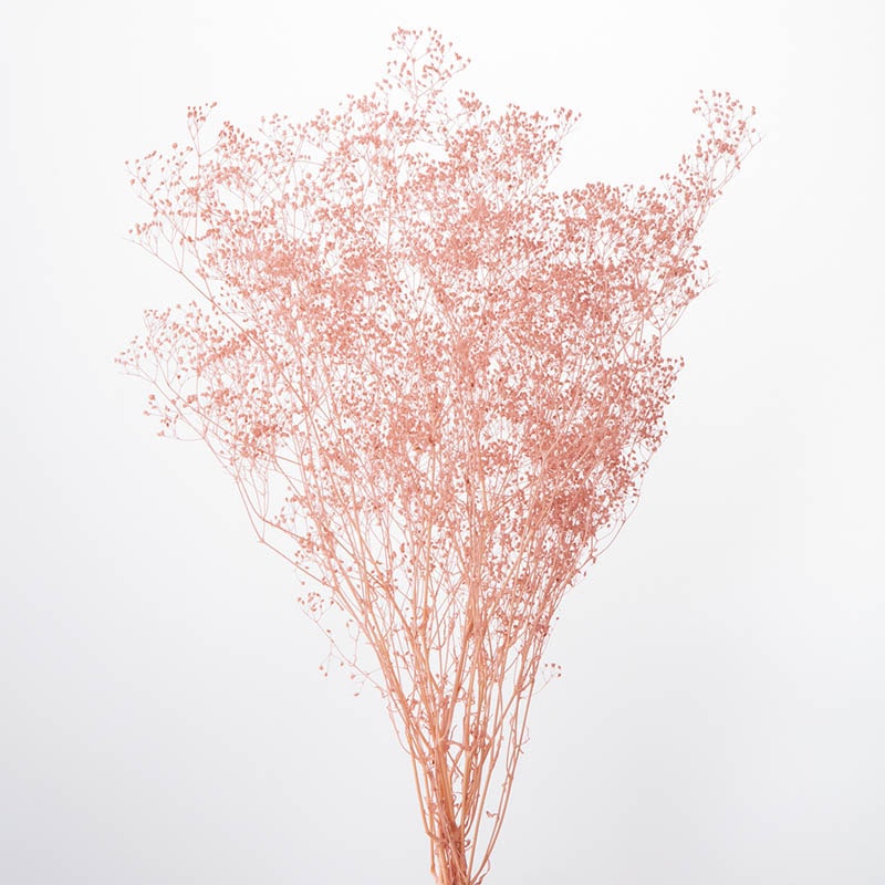 ピンクベージュ