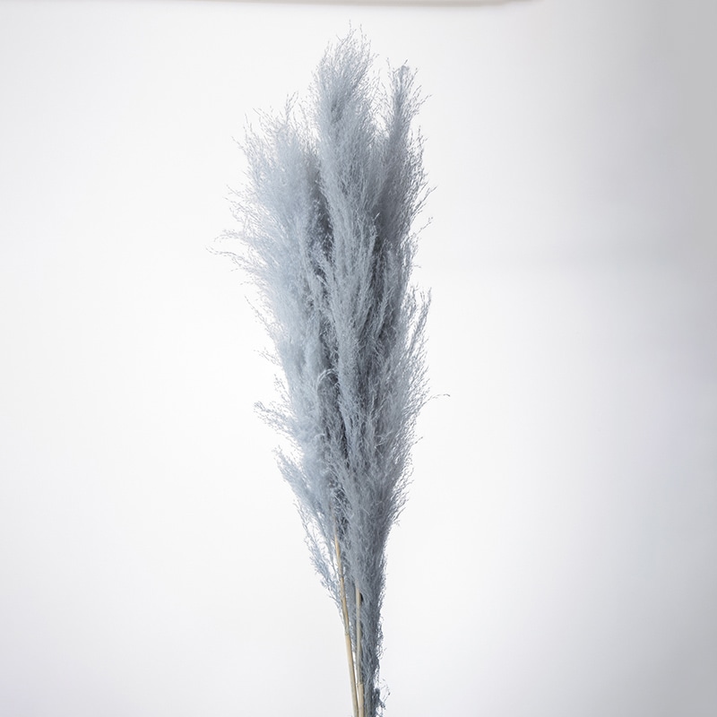 大地農園 ナチュラルドライ ビッグテールリード 51350-641 スモーキーブルー 1束(ご注文単位1束)【直送品】