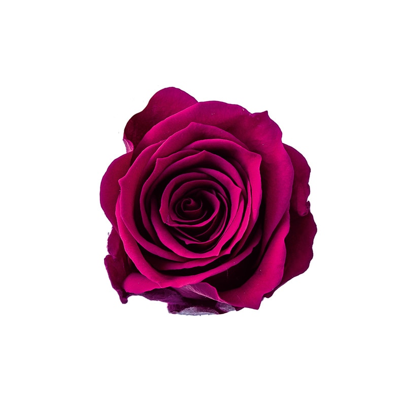 ディープルビー