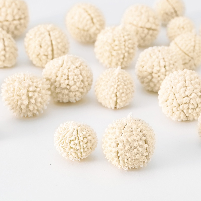 大地農園 木の実 ムタンバナッツ 22850-011　白 1パック（ご注文単位1パック）【直送品】