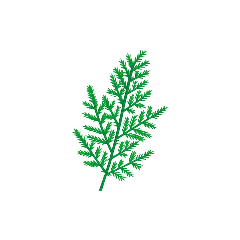 旭創業 造花 桧葉 小 H-1 1000個/箱(ご注文単位1箱)【直送品】