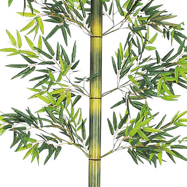 アルファ バンブー立木セット 243cm TT2-4005 1本(ご注文単位1本)【直送品】