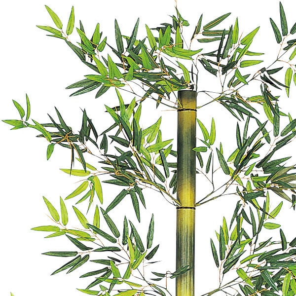 アルファ バンブー立木セット 243cm TT2-4005 1本(ご注文単位1本)【直送品】