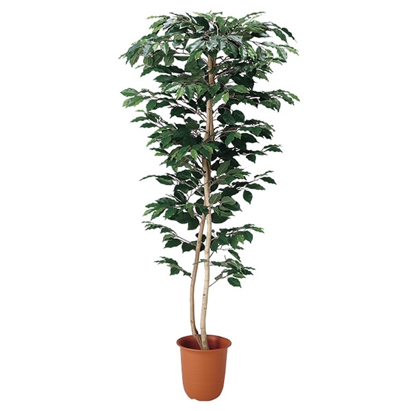 アルファ ベンジャミン M グリーン TI8-0194 1個（ご注文単位1個）【直送品】