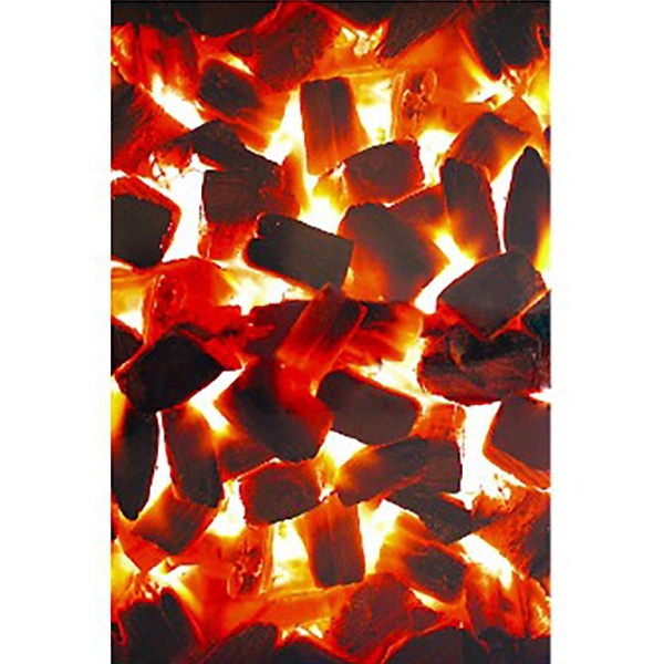 アルファ オリジナル陳列シート 炭火 RC8-0069 1枚（ご注文単位5枚）【直送品】