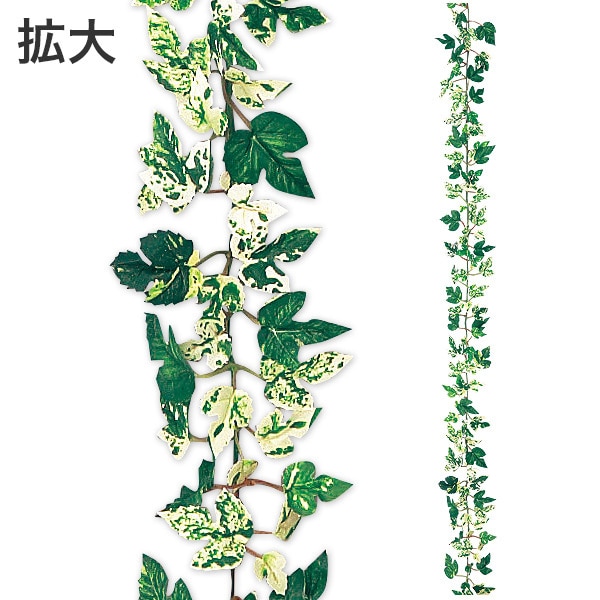 アルファ ニューオランダアイビーガーランド TI8-0203 1個(ご注文単位1個)【直送品】