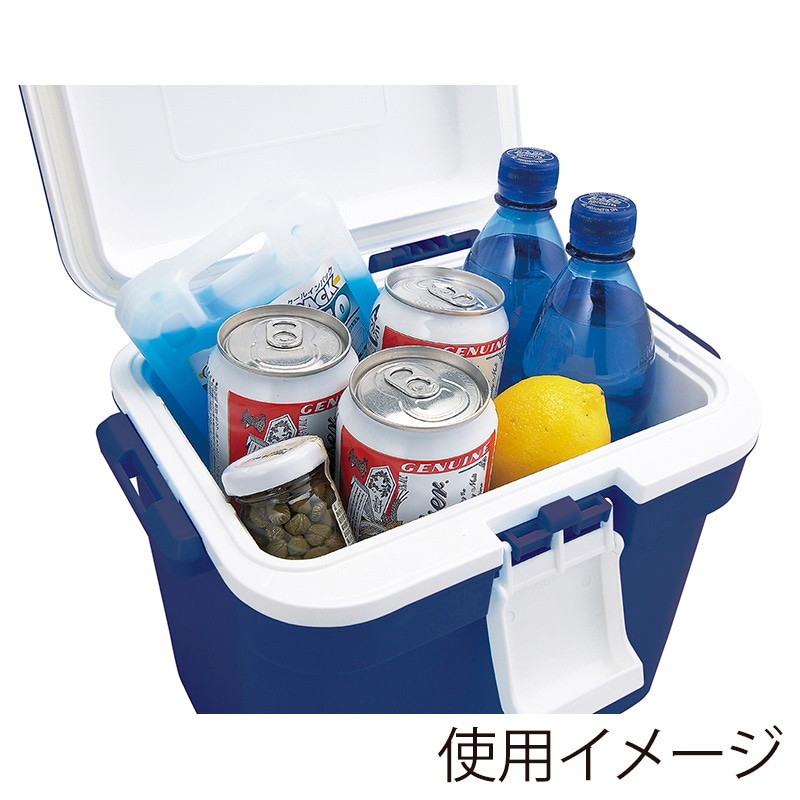JEJアステージ クーラーボックス　フォレスクルー #10 ダークブルー 1個（ご注文単位8個）【直送品】