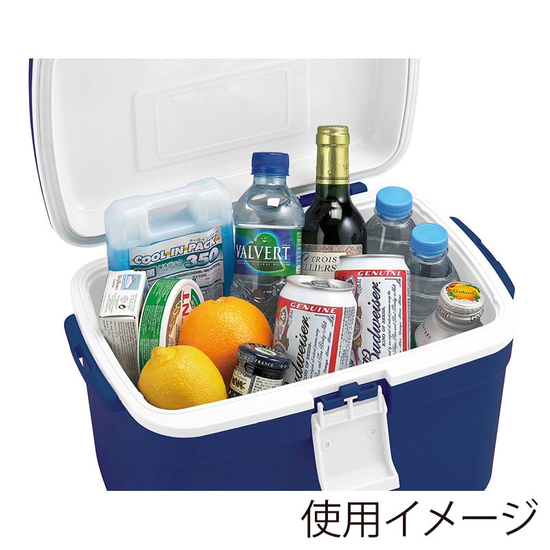 JEJアステージ クーラーボックス　フォレスクルー #13 ダークブルー 1個（ご注文単位8個）【直送品】