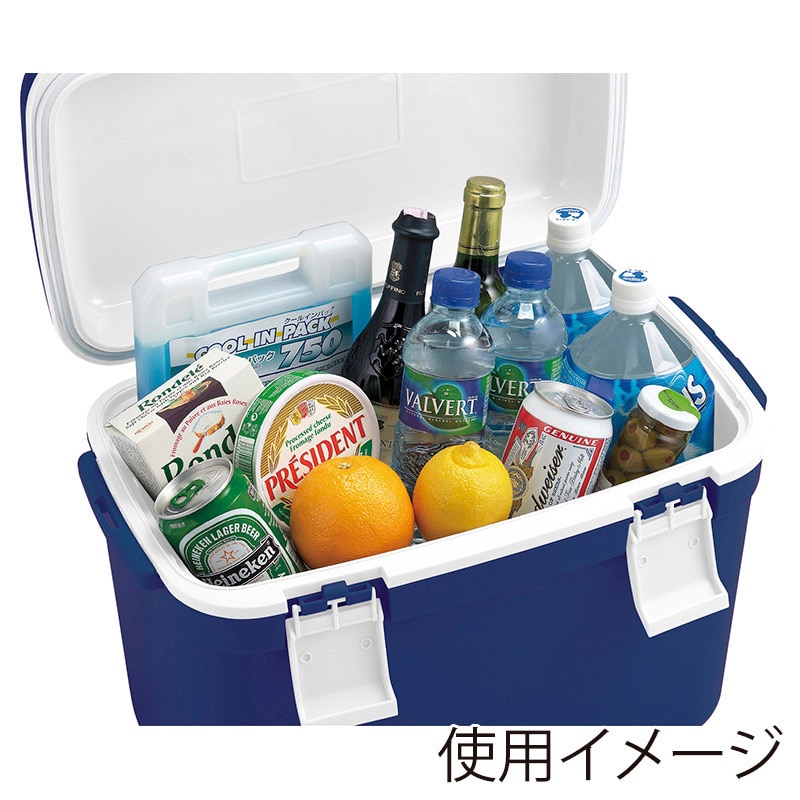 JEJアステージ クーラーボックス　フォレスクルー #25 ダークブルー 1個（ご注文単位6個）【直送品】