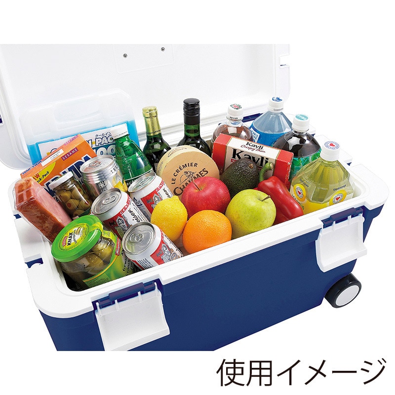 JEJアステージ クーラーボックス フォレスクルー #45 ダークブルー 1個(ご注文単位2個)【直送品】