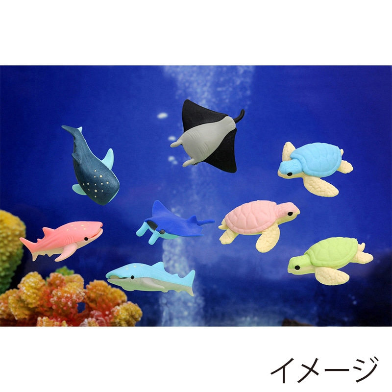 イワコー シーアニマル消しゴム ER-SEE002 1個(ご注文単位60個)【直送品】