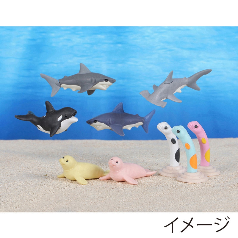 イワコー シーアニマル消しゴム2 ER-SEE003 1個(ご注文単位60個)【直送品】