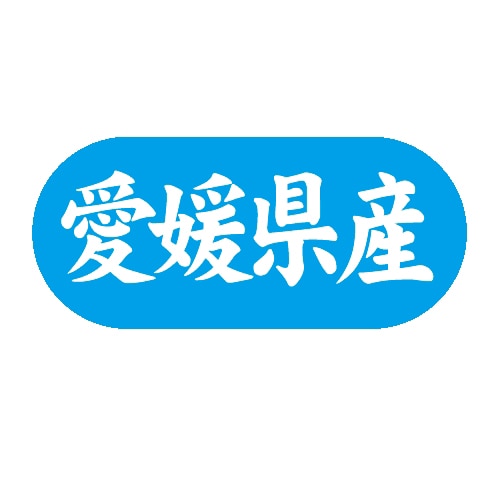 金久 POPシール 愛媛県産 G-587 1束(ご注文単位1束)【直送品】