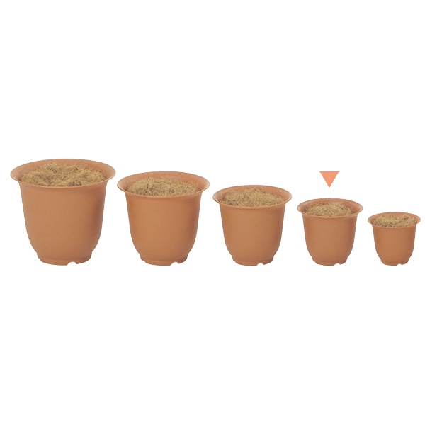 ドガ ノアポット　下草付 5号 NP-0005 1個（ご注文単位1個）【直送品】