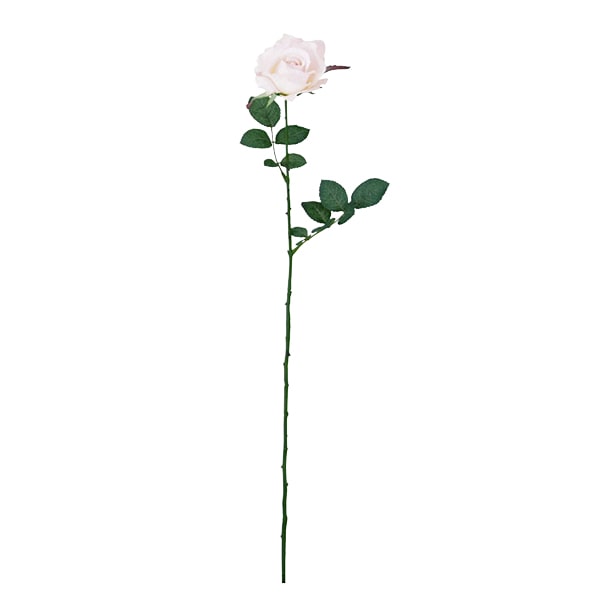 ドガ ミシェルローズ ソフトピンク FLS-0713 1本（ご注文単位1本）【直送品】