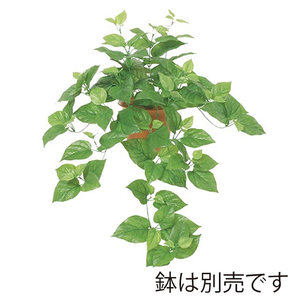 ドガ スプリングポトスブッシュ ワイヤー入 LEB-0852 1本（ご注文単位1本）【直送品】