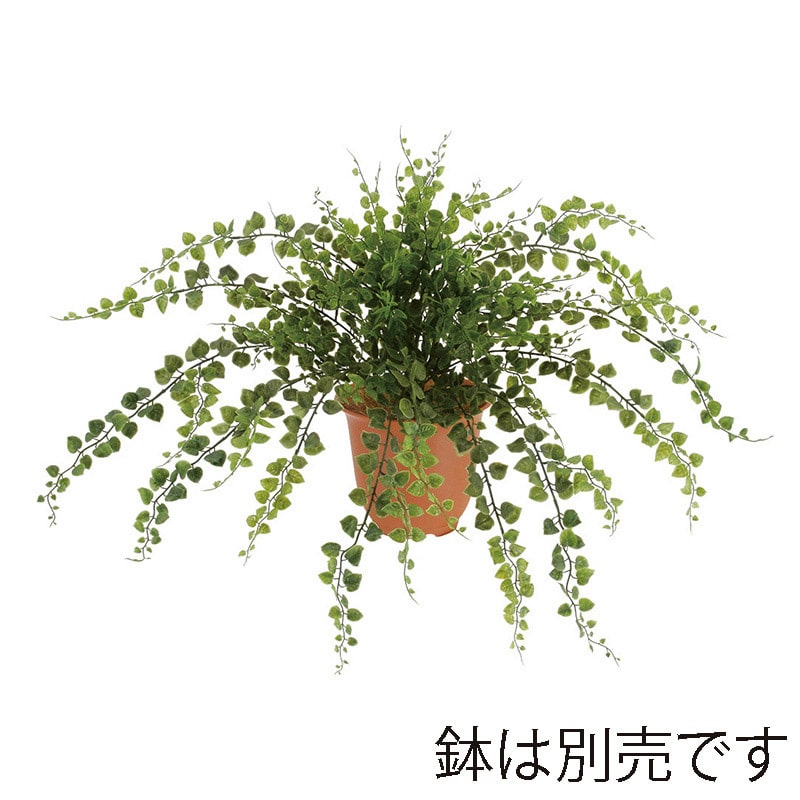 ドガ アジアンタムブッシュ  LEB-8079 1本（ご注文単位1本）【直送品】