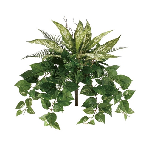 ドガ アグラオネマアソートブッシュ LEB-8081 1本(ご注文単位1本)【直送品】