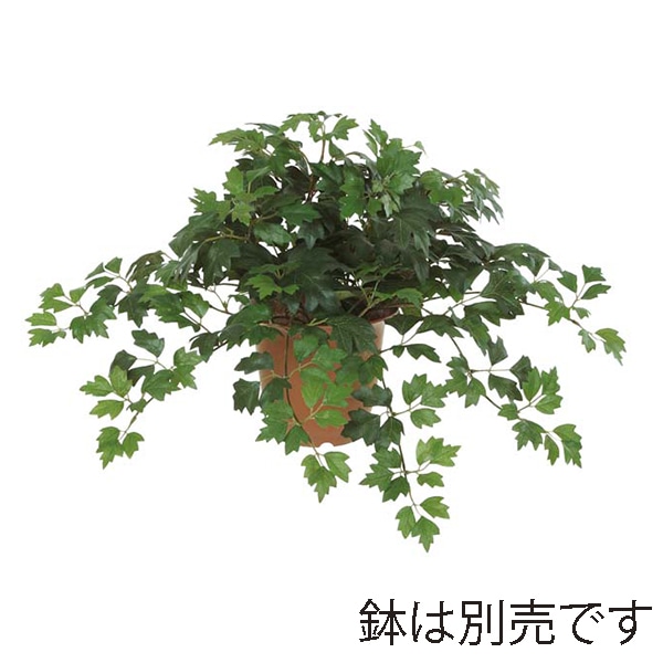 ドガ ダニカブッシュ LEB-8049 1本(ご注文単位1本)【直送品】