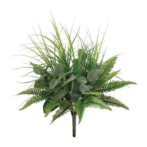 ドガ フィトニアアソートブッシュ  LEB-8094 1本（ご注文単位1本）【直送品】