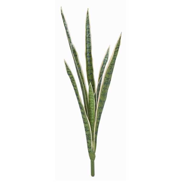 ドガ サンセベリアブッシュ S　グリーン／ホワイト LEB-8055-S 1本（ご注文単位1本）【直送品】