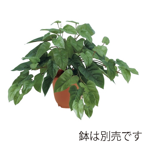 ドガ フィロブッシュ  LEB-8100 1本（ご注文単位1本）【直送品】