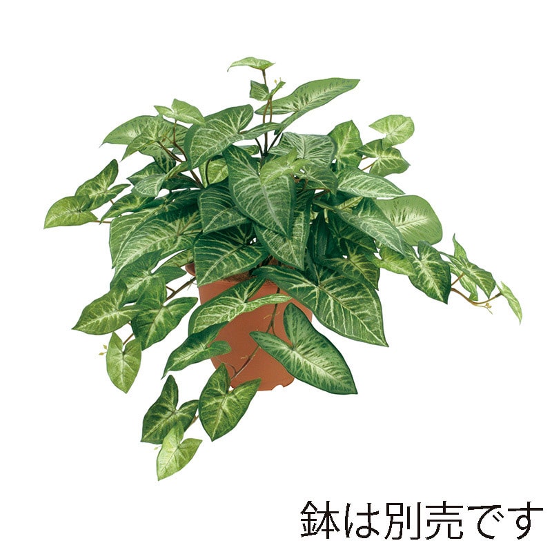 ドガ シンゴニウムブッシュ LEB-8101 1本(ご注文単位1本)【直送品】