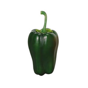ドガ ディスプレイ ピーマン グリーン 3個パック VF-1082 1パック(ご注文単位1パック)【直送品】