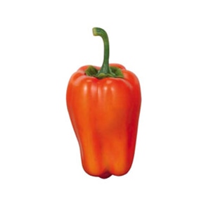 ドガ ディスプレイ ピーマン オレンジ 3個パック VF-1082 1パック(ご注文単位1パック)【直送品】