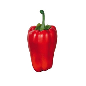 ドガ ディスプレイ ピーマン レッド 3個パック VF-1082 1パック(ご注文単位1パック)【直送品】