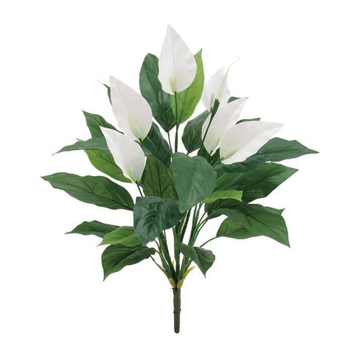 ドガ スパティフィラムブッシュ FLB-8020 1本(ご注文単位1本)【直送品】