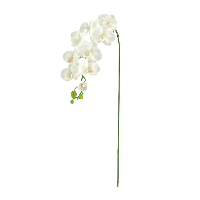 ドガ 胡蝶蘭 L ホワイト FLS-5183-L 1本(ご注文単位1本)【直送品】