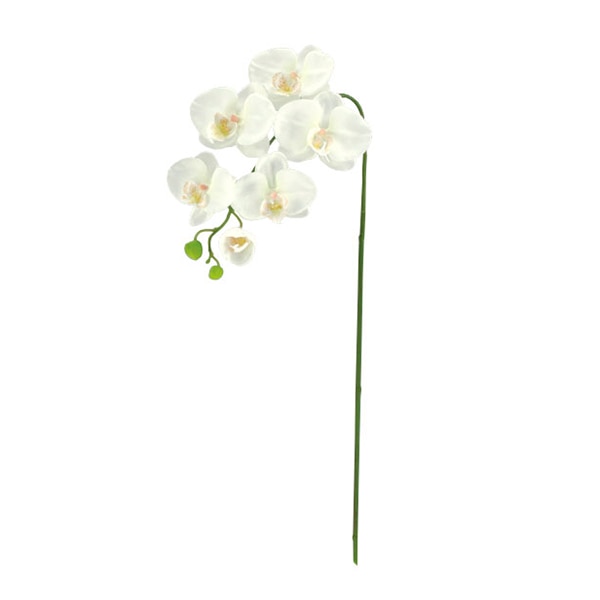 ドガ 胡蝶蘭 S ホワイト FLS-5183-S 1本(ご注文単位1本)【直送品】