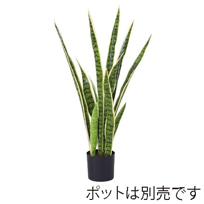 ドガ サンセベリア 80cm グリーン/ホワイト LET-2027-S 1本(ご注文単位1本)【直送品】