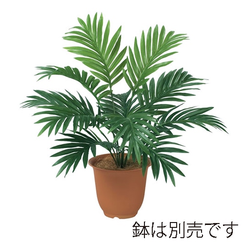 ドガ アレカパームブッシュ  LEB-8118 1本（ご注文単位1本）【直送品】