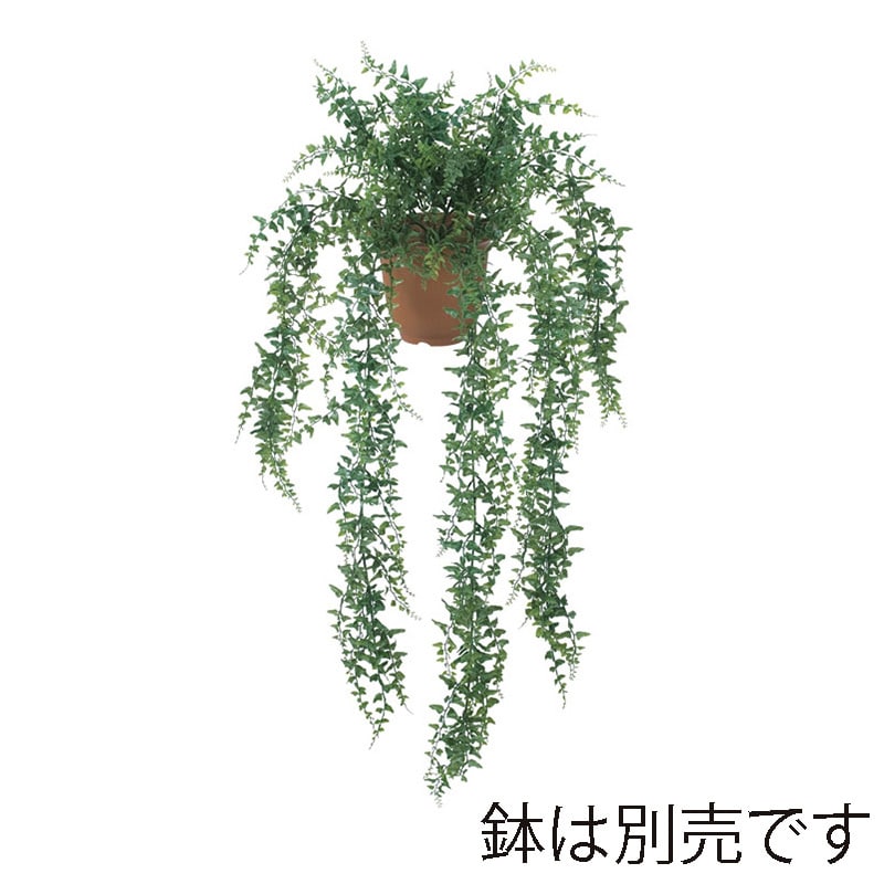 ドガ ベーカーファーンハンギングブッシュ LEB-8121 1本(ご注文単位1本)【直送品】